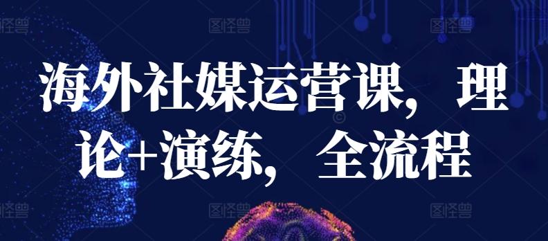 海外社媒运营课，理论+演练，全流程-蚂蚁汇资源分享项目网