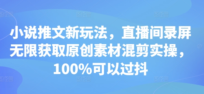 小说推文新玩法，直播间录屏无限获取原创素材混剪实操，100%可以过抖-蚂蚁汇资源分享项目网