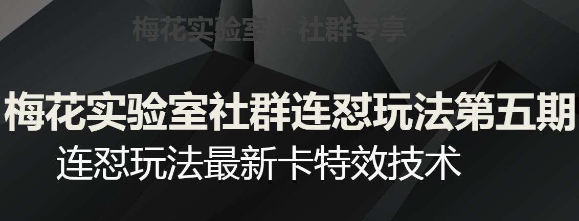 梅花实验室社群连怼玩法第五期，视频号连怼玩法最新卡特效技术-蚂蚁汇资源分享项目网