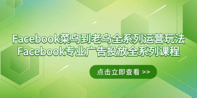 Facebook-菜鸟到老鸟全系列运营玩法+Facebook-专业广告投放全系列课程-蚂蚁汇资源分享项目网