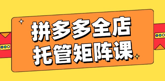 拼多多全店托管矩阵课，盈利动销玩法，高效计划设置，提升店铺效益-蚂蚁汇资源分享项目网