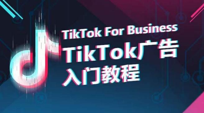 TikTok广告入门教程，从0到1掌握TikTok投放的全流程-蚂蚁汇资源分享项目网