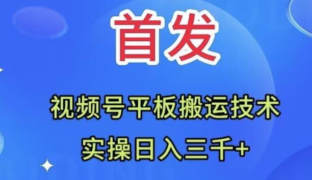 全网首发：视频号平板搬运技术，实操日入三千＋-蚂蚁汇资源分享项目网