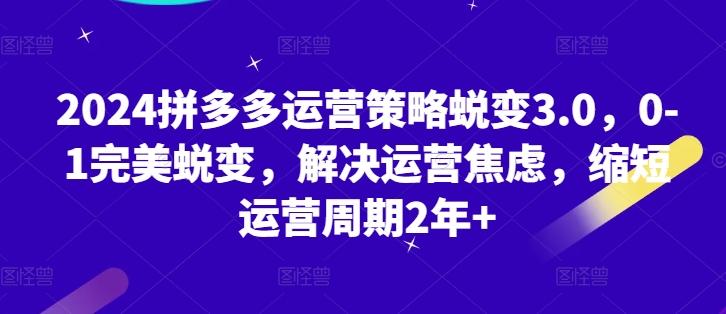 2024拼多多运营策略蜕变3.0，0-1完美蜕变，解决运营焦虑，缩短运营周期2年+-蚂蚁汇资源分享项目网
