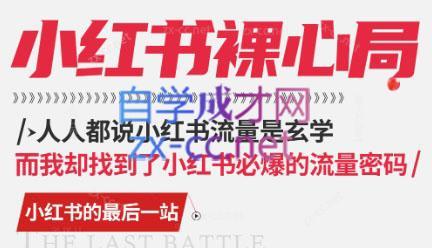 月月老师·小红书低粉高变现课-蚂蚁汇资源分享项目网