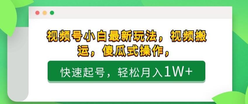 视频号小白最新玩法，视频搬运，傻瓜式操作，快速起号，轻松月入1W+-蚂蚁汇资源分享项目网