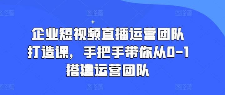 企业短视频直播运营团队打造课，手把手带你从0-1搭建运营团队-蚂蚁汇资源分享项目网