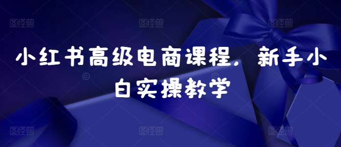 小红书高级电商课程，新手小白实操教学-蚂蚁汇资源分享项目网