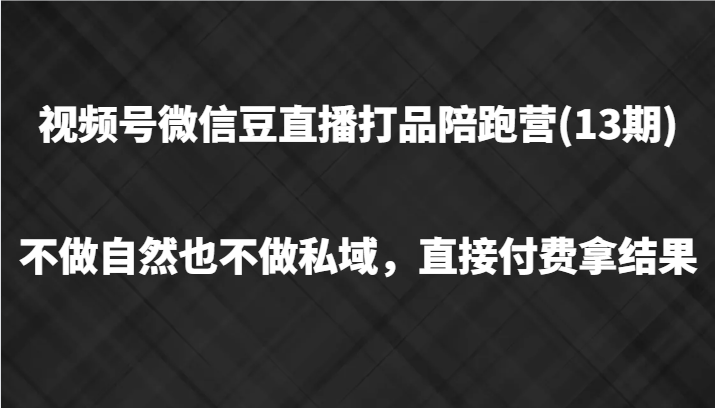 视频号微信豆直播打品陪跑(13期)，不做不自然流不做私域，直接付费拿结果-蚂蚁汇资源分享项目网