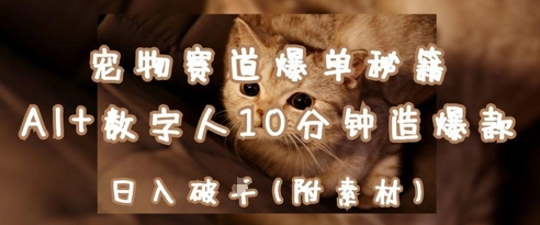 宠物赛道爆单秘籍：AI+数字人10分钟造爆款，日入1k-蚂蚁汇资源分享项目网