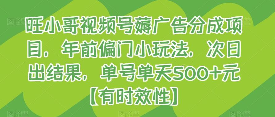 旺小哥视频号薅广告分成项目，年前偏门小玩法，次日出结果，单号单天500+元【有时效性】-蚂蚁汇资源分享项目网