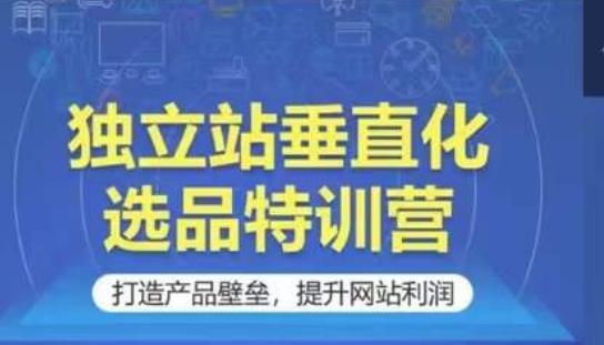 独立站垂直化选品特训营，打造产品壁垒，提升网站利润-蚂蚁汇资源分享项目网