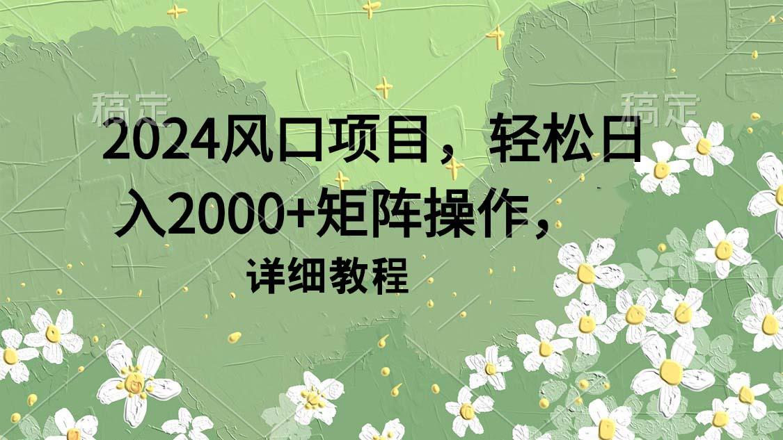 (9652期)2024风口项目，轻松日入2000+矩阵操作，详细教程-蚂蚁汇资源分享项目网