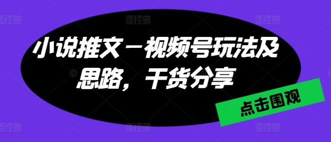 小说推文—视频号玩法及思路，干货分享-蚂蚁汇资源分享项目网