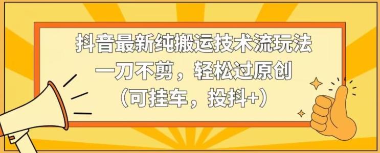 抖音最新纯搬运技术流玩法，一刀不剪，轻松过原创(可挂车，投抖+)【揭秘】-蚂蚁汇资源分享项目网