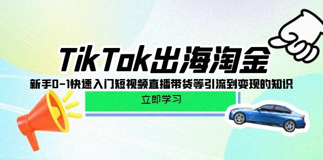 (10035期)TikTok-出海淘金，新手0-1快速入门短视频直播带货等引流到变现的知识-蚂蚁汇资源分享项目网