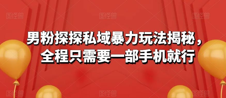 男粉探探私域暴力玩法揭秘,全程只需要一部手机就行