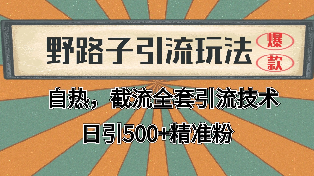 2024首发野路子引流玩法截流自热全平台打法，全自动引流【日引2000+精准客户】-蚂蚁汇资源分享项目网
