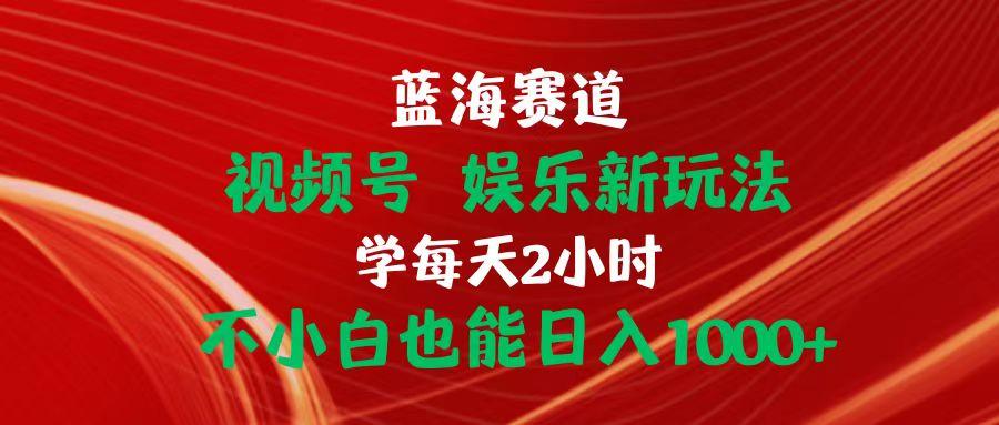 蓝海赛道视频号 娱乐新玩法每天2小时小白也能日入1000+-蚂蚁汇资源分享项目网