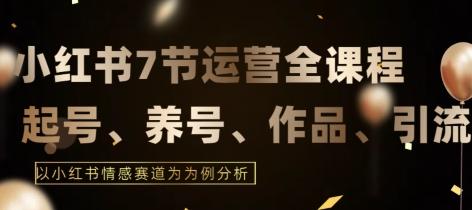 7节小红书运营实战全教程，结合最新情感赛道，打通小红书运营全流程【揭秘】-蚂蚁汇资源分享项目网