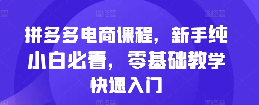 拼多多电商课程，新手纯小白必看，零基础教学快速入门-蚂蚁汇资源分享项目网