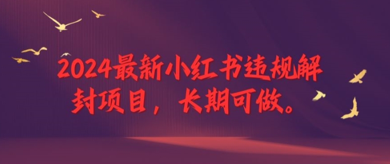 2024最新小红书违规解封项目，长期可做，一个可以做到退休的项目【揭秘】-蚂蚁汇资源分享项目网