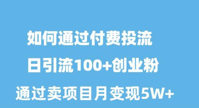 如何通过付费投流日引流100+创业粉月变现5W+-蚂蚁汇资源分享项目网