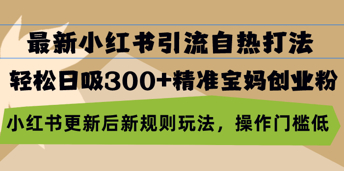 最新小红书引流自热打法，轻松日吸300+精准宝妈创业粉，小红书更新后新...-蚂蚁汇资源分享项目网