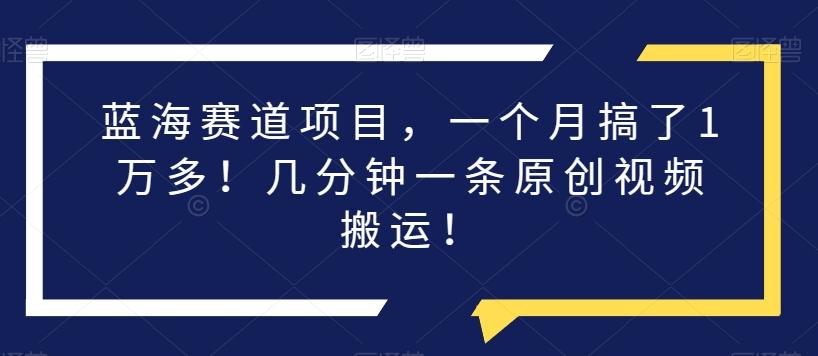 蓝海赛道项目，一个月搞了1万多！几分钟一条原创视频搬运！-蚂蚁汇资源分享项目网