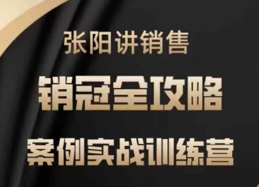 张阳讲销售实战训练营，​案例实战训练，销冠全攻略-蚂蚁汇资源分享项目网