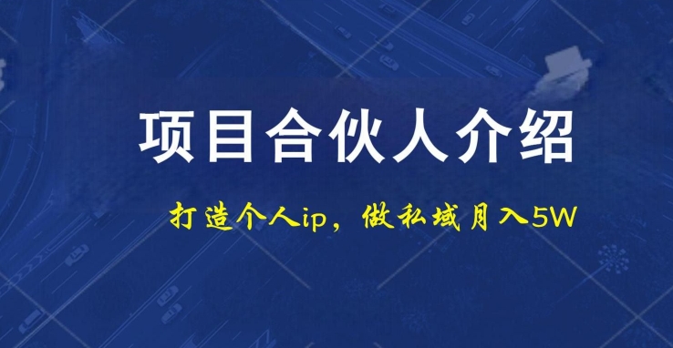 项目合伙人项目，打造个人IP，做私域月入5W，小白勿扰-蚂蚁汇资源分享项目网