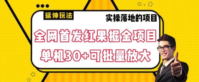 全网首发红果免费短剧掘金项目，单机30+可批量放大【揭秘】-蚂蚁汇资源分享项目网