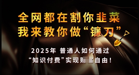 知识付费如何做到月入过W+，2025我来教你做“镰刀”【揭秘】-蚂蚁汇资源分享项目网
