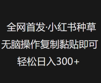 全网首发，小红书种草无脑操作，复制黏贴即可，轻松日入3张-蚂蚁汇资源分享项目网