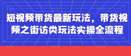 短视频带货最新玩法，带货视频之街访类玩法实操全流程-蚂蚁汇资源分享项目网