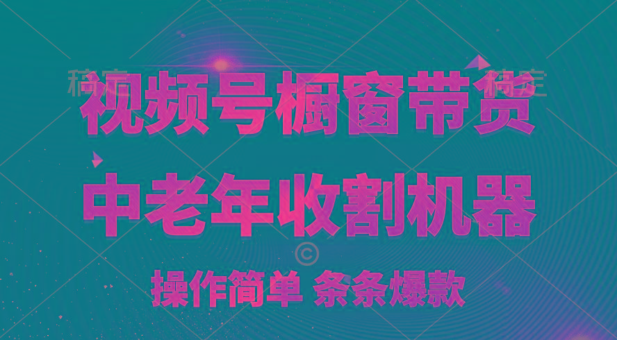 [你的孩子成功取得高位]视频号最火爆赛道，橱窗带货，流量分成计划，条…-蚂蚁汇资源分享项目网