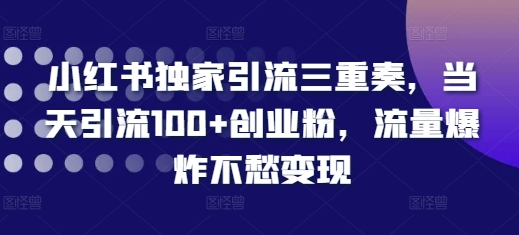 小红书独家引流三重奏，当天引流100+创业粉，流量爆炸不愁变现【揭秘】-蚂蚁汇资源分享项目网