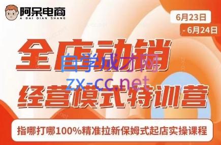 阿呆电商·全店动销经营模式特训营(线下录音+思维导图)-蚂蚁汇资源分享项目网