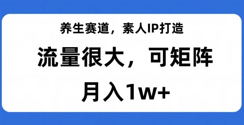 养生赛道，素人IP打造，流量很大，可矩阵，月入1w+【揭秘】-蚂蚁汇资源分享项目网
