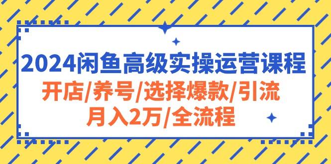 2024闲鱼高级实操运营课程：开店/养号/选择爆款/引流/月入2万/全流程-蚂蚁汇资源分享项目网
