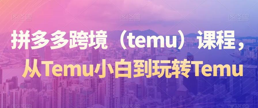 拼多多跨境（temu）课程，从Temu小白到玩转Temu-蚂蚁汇资源分享项目网
