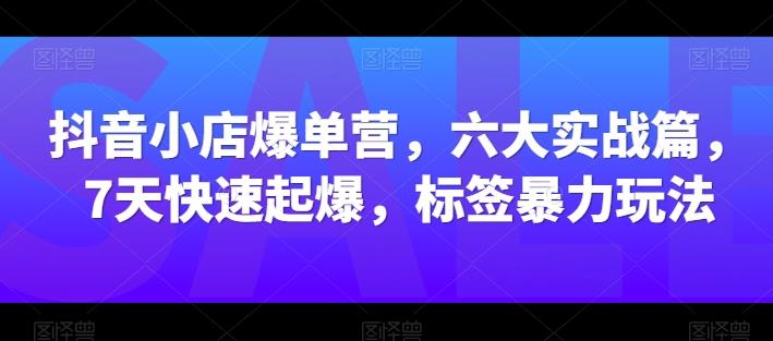 抖音小店爆单营，六大实战篇，7天快速起爆，标签暴力玩法-蚂蚁汇资源分享项目网