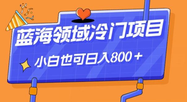 蓝海领域冷门赛道，一单39.9，日入800＋-蚂蚁汇资源分享项目网