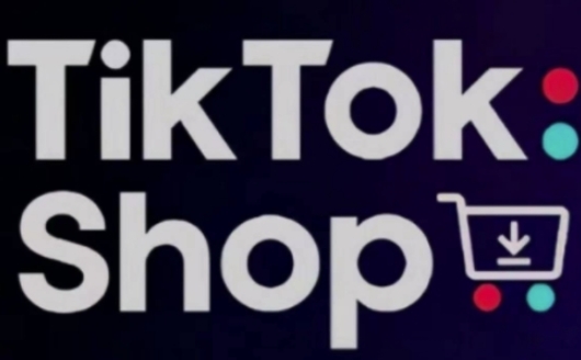 TikTokShop跨境电商0-1实战，手把手教你低成本启动海外市场-蚂蚁汇资源分享项目网
