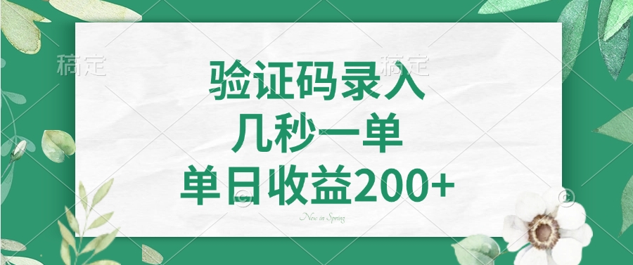 验证码录入，几秒一单，单日收益200+-蚂蚁汇资源分享项目网