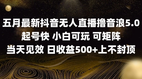 2025五月最新无人直播撸音浪单日产出5张+实操教程【揭秘】-蚂蚁汇资源分享项目网