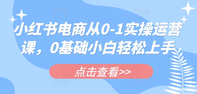 小红书电商从0-1实操运营课，0基础小白轻松上手-蚂蚁汇资源分享项目网