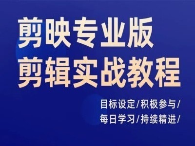剪映专业版剪辑实战教程，目标设定/积极参与/每日学习/持续精进-蚂蚁汇资源分享项目网