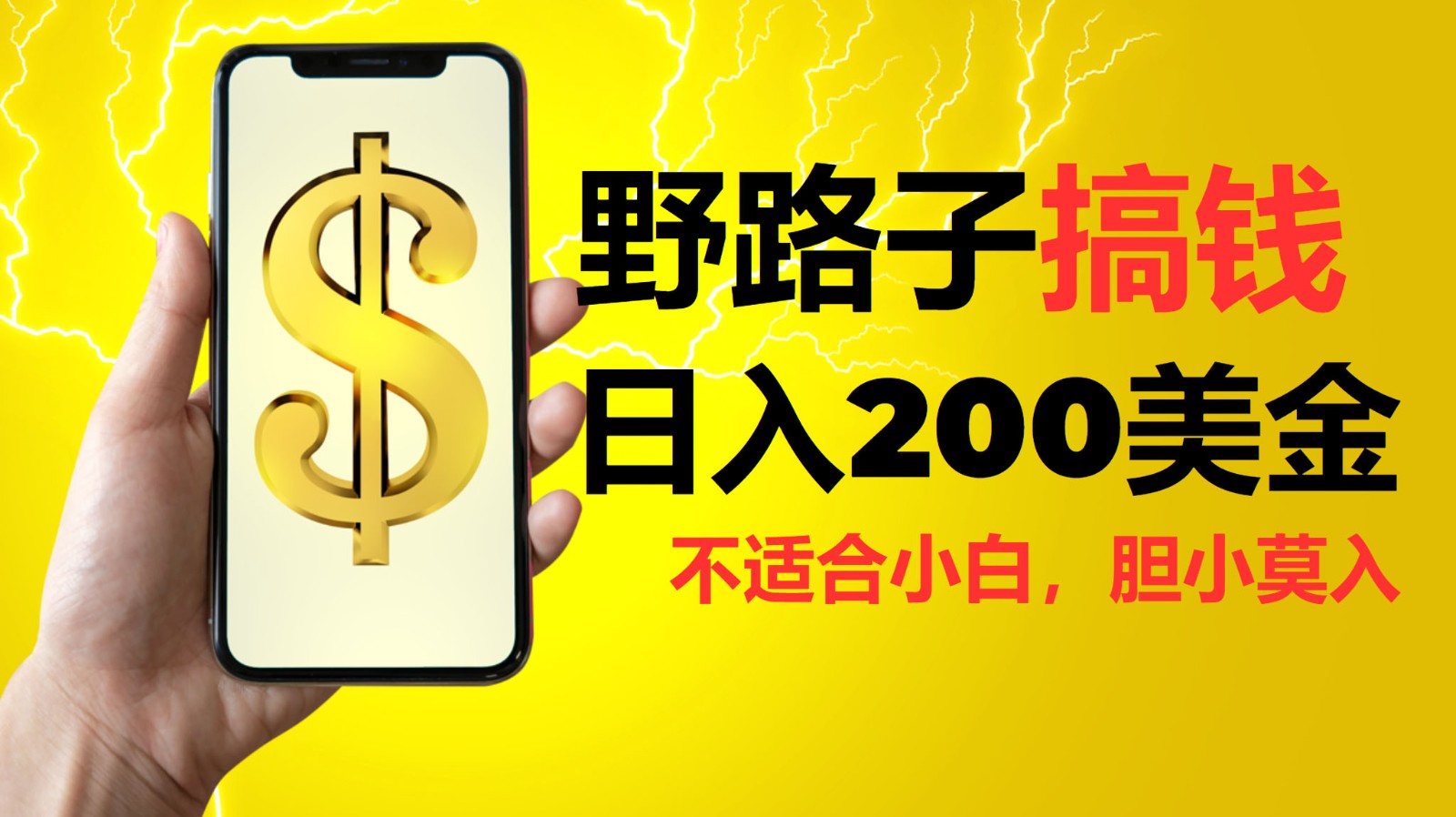 挂机野路子搞钱,日入200美金,路子很野,小白莫入-蚂蚁汇资源分享项目网