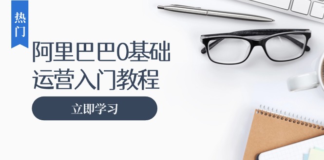 阿里巴巴运营零基础入门教程：涵盖开店、运营、推广，快速成为电商高手-蚂蚁汇资源分享项目网